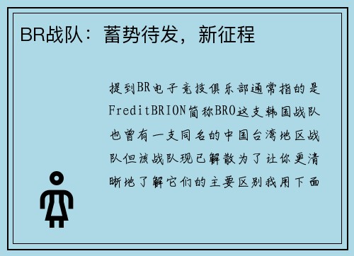 BR战队：蓄势待发，新征程